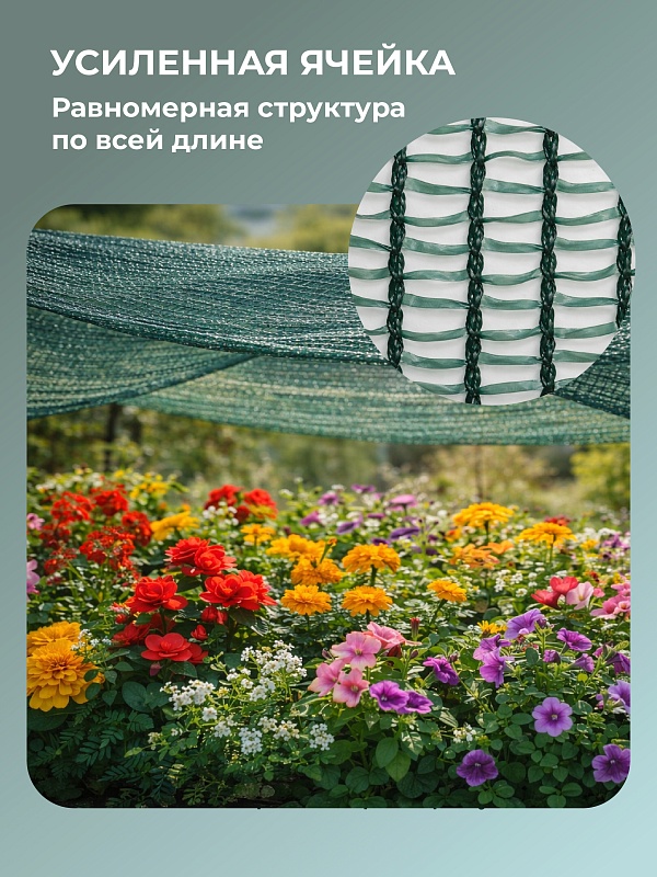/upload/resize_cache/iblock/1cd/800_800_0/cpqmnh1n7c7ei9dwkd6clrexag1ra4au.jpg