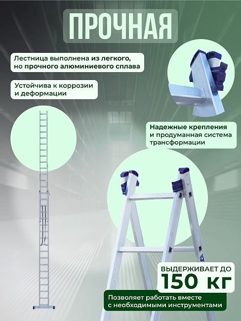 Лестница двухсекционная Alumet Ал 6217 фото 3